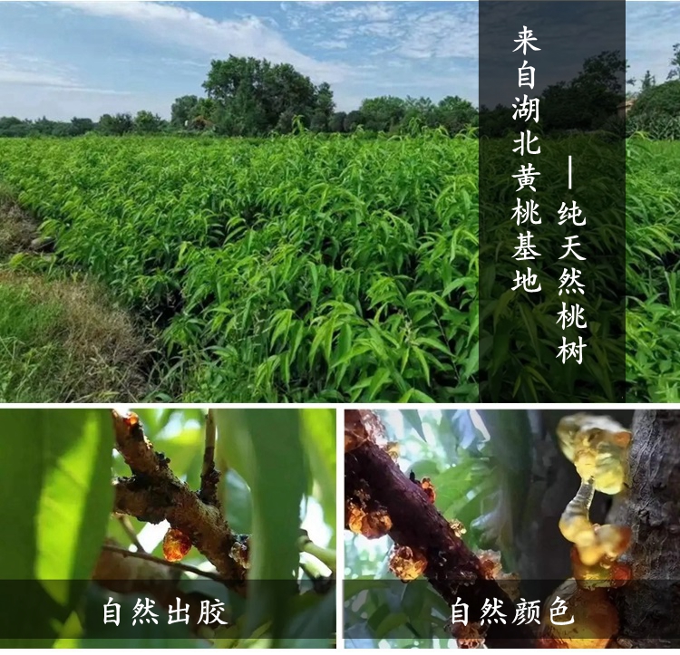 纯天然桃胶热销|纯天然桃胶无加工,无添加,口感好138元2斤(小颗粒) 